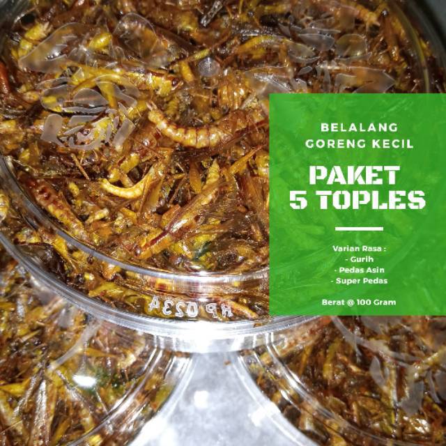 

Belalang Goreng Kecil Paket 5 Toples 100 Gram