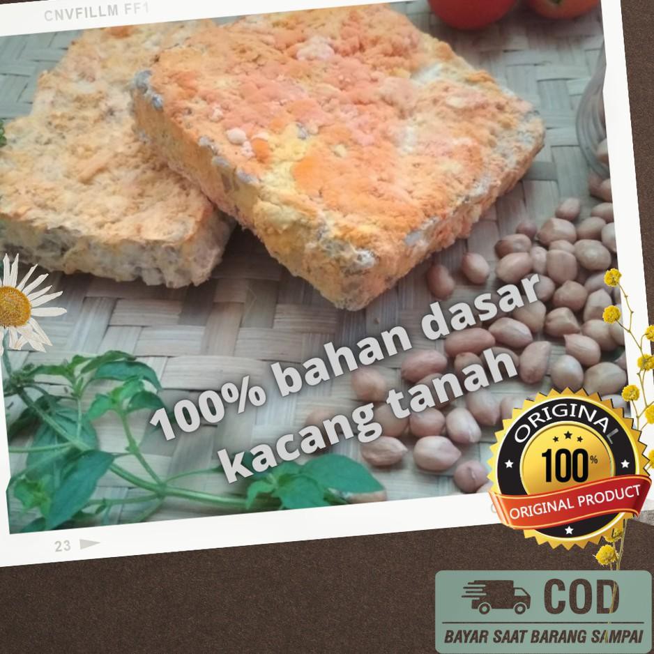 

TNR Oncom sumedang kering bandung makanan ringan siap saji bahan sambal ← (Terkini)