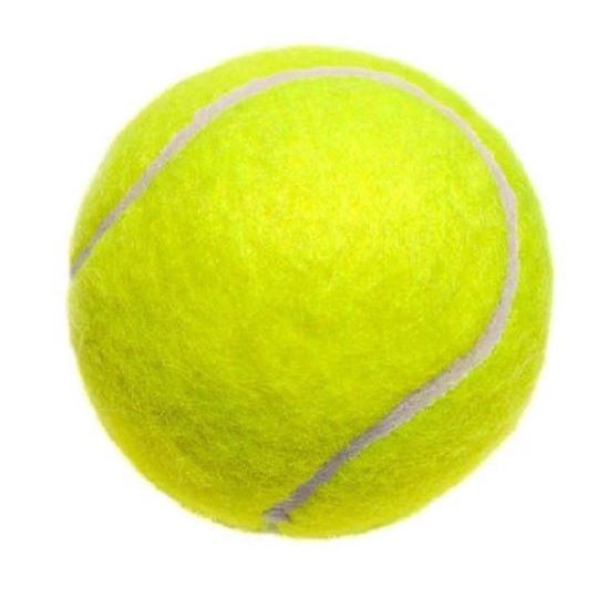 Bola Tenis Meja Lapangan Kasti Ball Softball Aktivitas Olahraga Outdoor 1 pcs