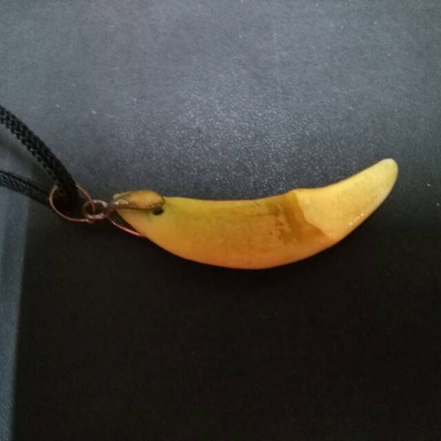 taring macan asli peninggalan..