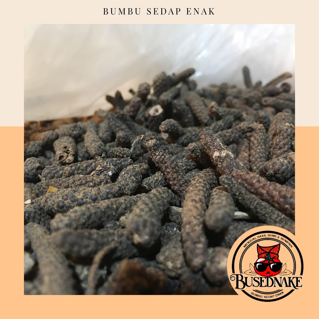

100gr Cabe Jawa / Cabe Jawa / Cabe Puyang / Buah Cabe