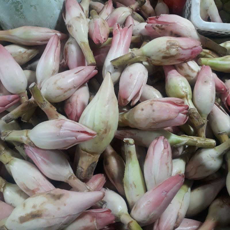 

sayur kincung medan 1kg