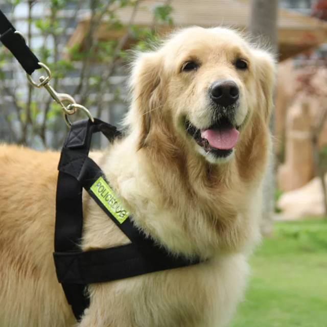 Promo Dog harness besar tebal kuat leash anjing police import 2.5 cm ajustable tali kekang badan