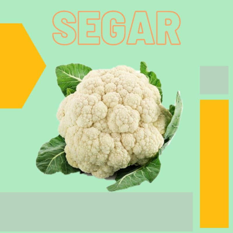 

1000 gram/1kg kembang kol/Cauliflower Sayuran Segar Bandung Makanan Segar