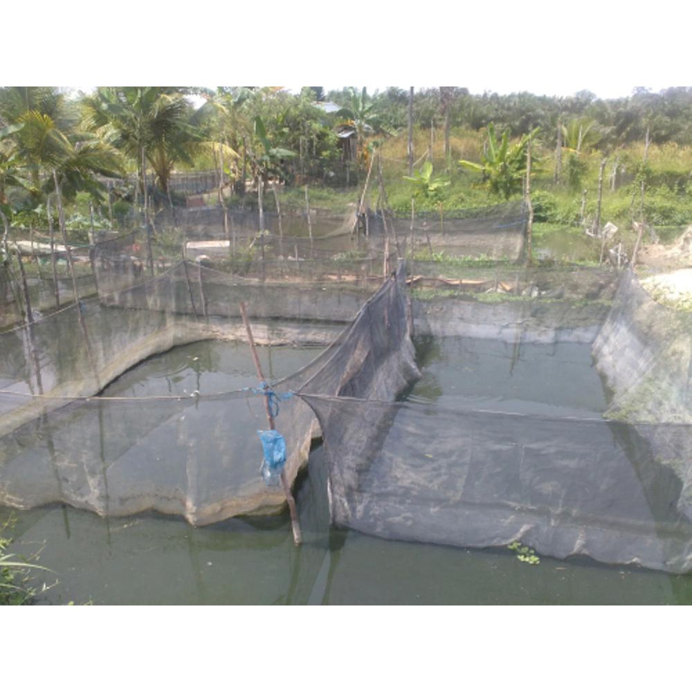 Unik waring  kerambah ikan  4x2x1 2 doble rk Limited