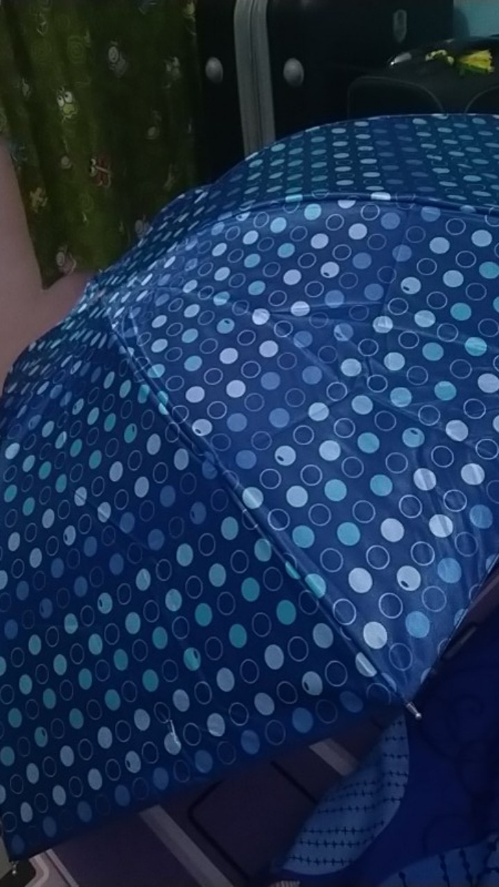 Payung Lipat 4 Pakai Tas Bahan Saten - Osaka