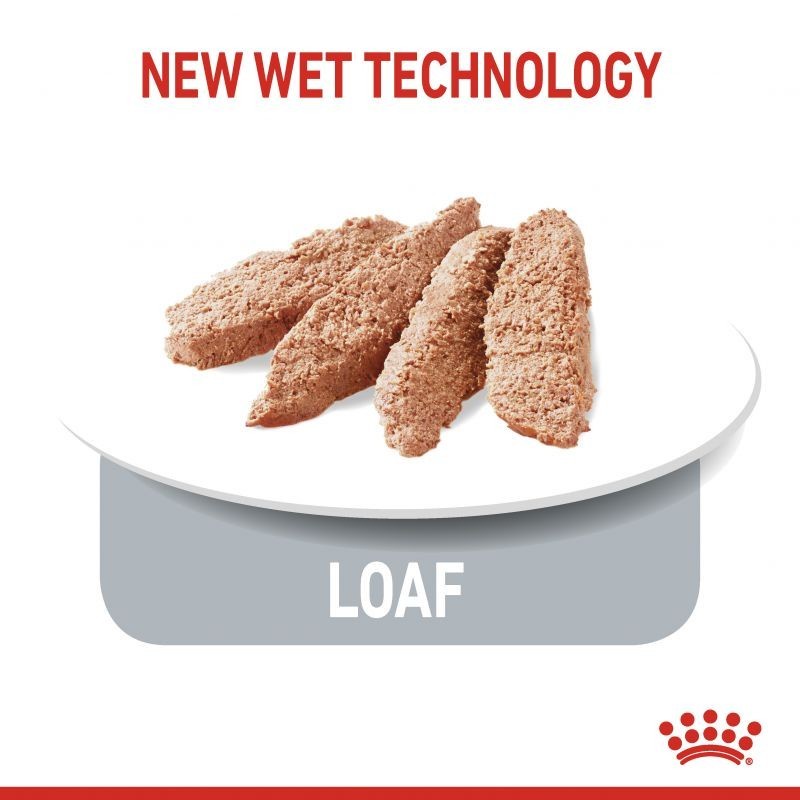 Royal Canin Sterilised Wet LOAF 85gr 85 gr Makanan Kucing Sterilized