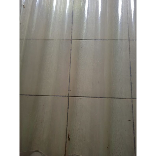ATAP FIBER GLASS TRANSPARAN DJABES 6