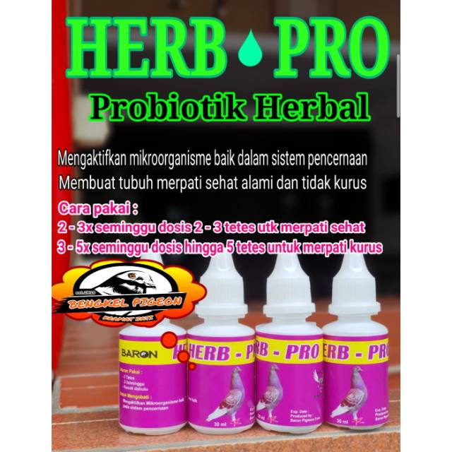 Vitamin probiotik herbal herb pro baron khusus burung dara merpati balap kolongan tomprang pos