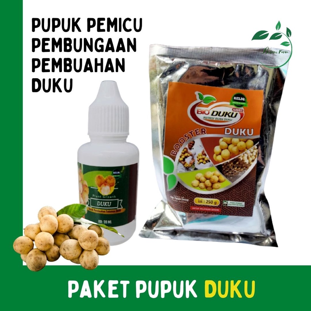 Pupuk Tanaman Duku Agar Cepat Berbuah, Pupuk Budidaya Buah Duku dan Langsat