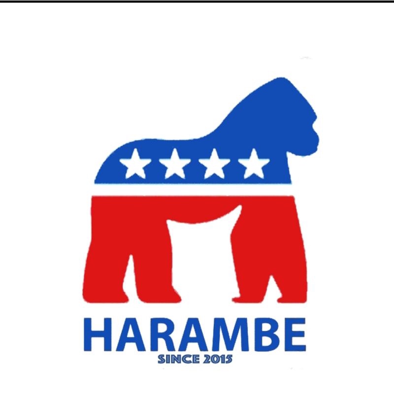 hoodie dickies size XL Fit S