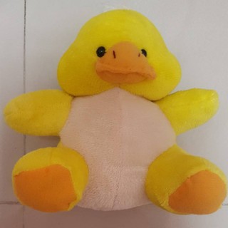 810+ Gambar Hewan Bebek Lucu HD Terbaru