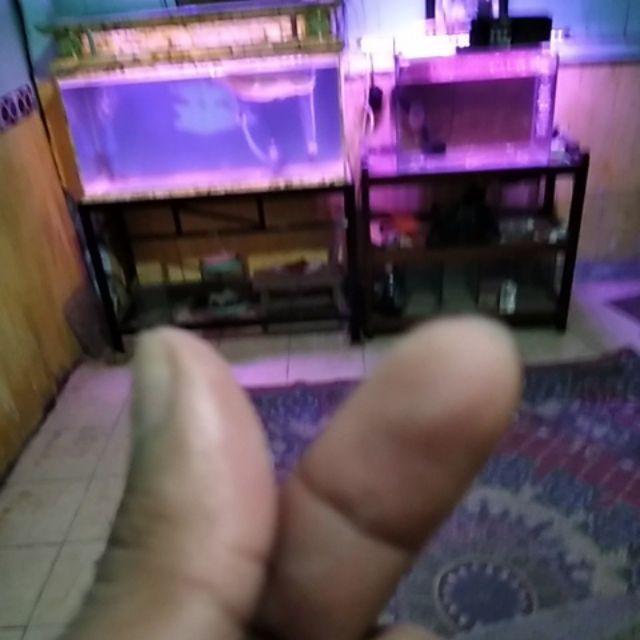 Batik Couple Keluarga - Couple Batik Indonesia Sarimbit Gamis Familly Set Hrb026 Batik Putra Hadi