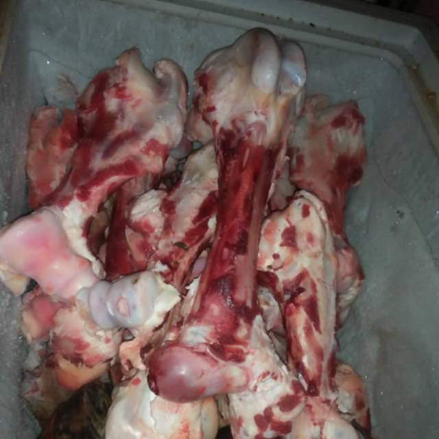 

Tulang sumsum 1 kg