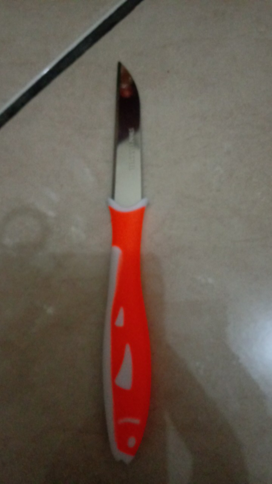 Pisau Dapur Buah Mini Pm