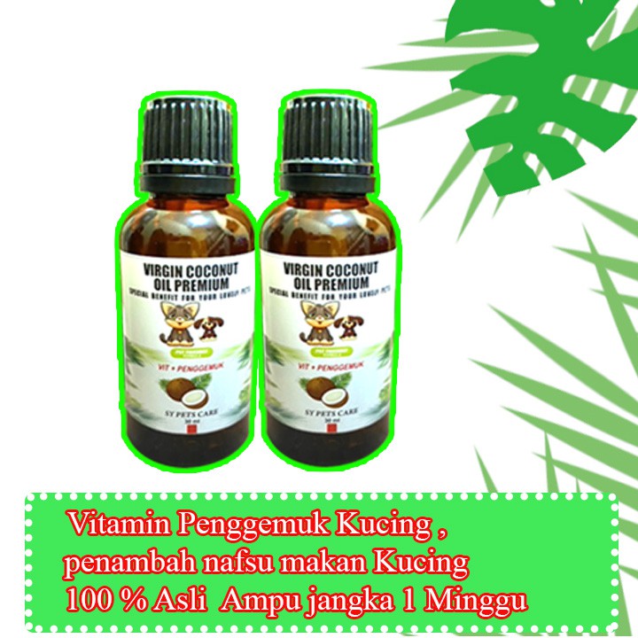 vitamin penambah nafsu makan kucing 30 ml