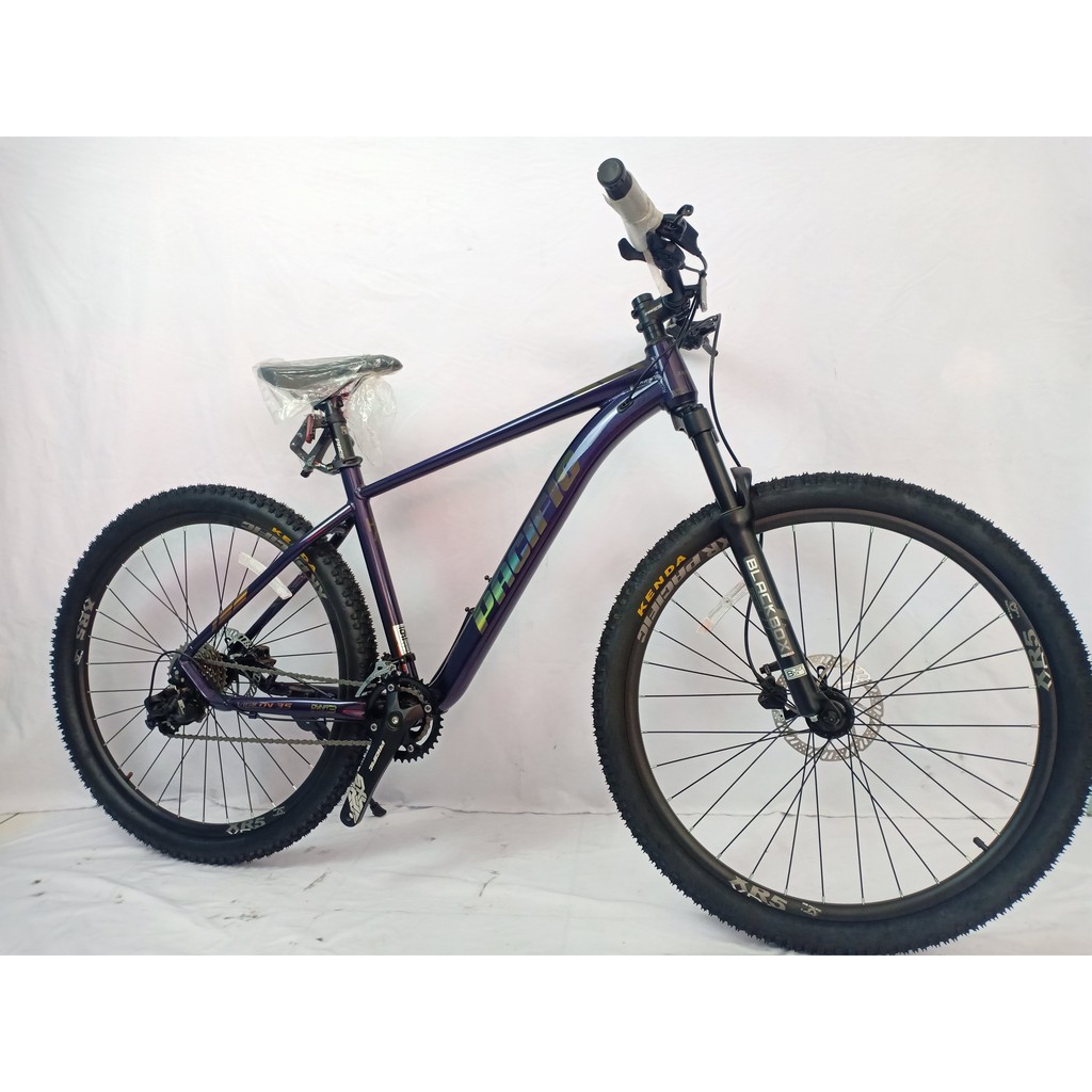 Sepeda Gunung MTB Pacific Vigilon 3.0