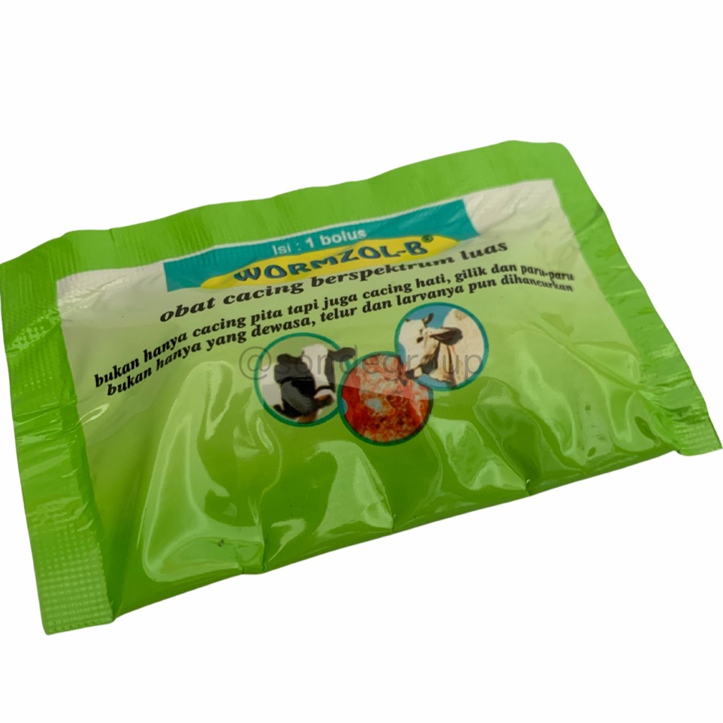 Wormzol-B - Obat Cacing Hewan Sapi - 1 Bolus