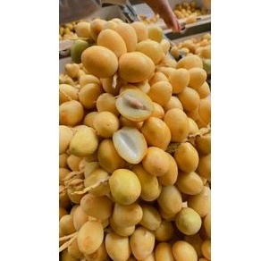

Kurma Muda Murah / Kurma Muda Promil