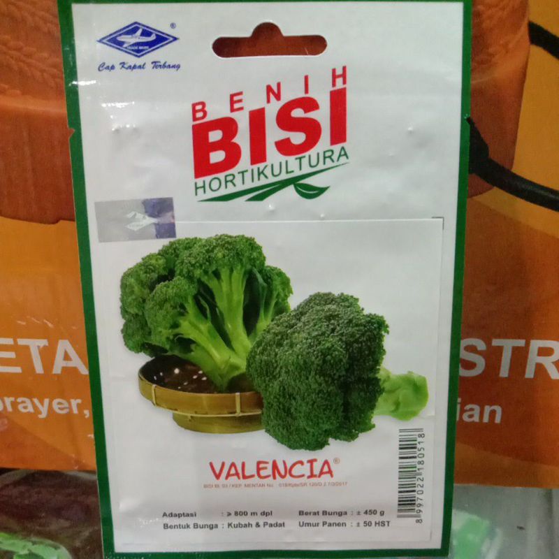 BENIH BISI VALENCIA ISI 150 BIJI