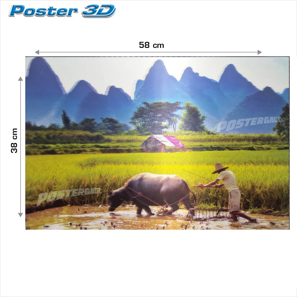 Poster 3d Pemandangan Sawah 3d29 Ukuran 38 X 58 Cm Shopee