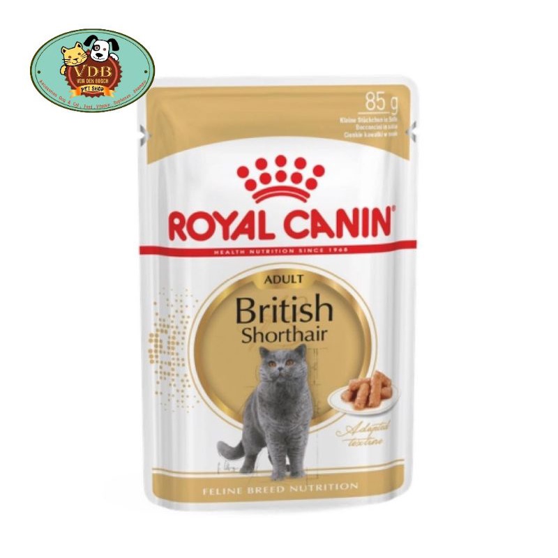 Royal Canin Adult British Shorthair wet food 85 gram