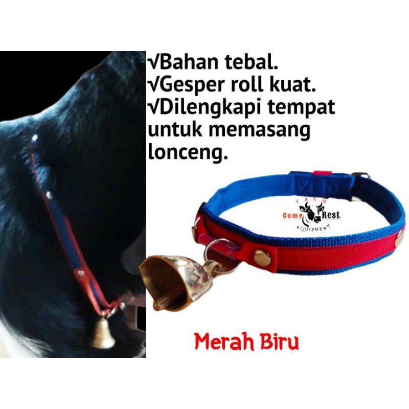 KALUNG KAMBING, DOMBA DAN ANJING