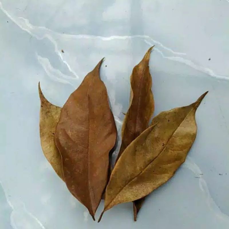 

daun pala kering kualitas unggul 100 gram