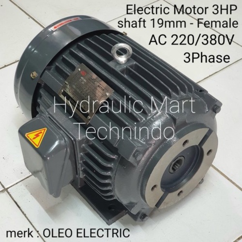 TERMURAH Dinamo 22KW 3HP-3Phase-4Poles AC220/380V as 19mm-female merk OLEO ELECTRIC -  Chyun Tseh re