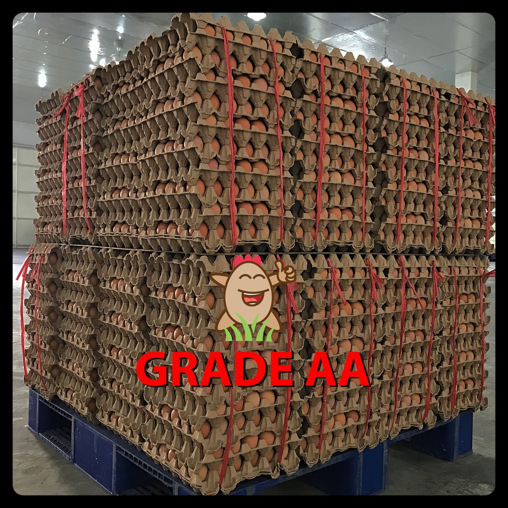 Telur Ayam SPNI Super Jumbo (Grade AA 30 Butir) Sortiran Mesin