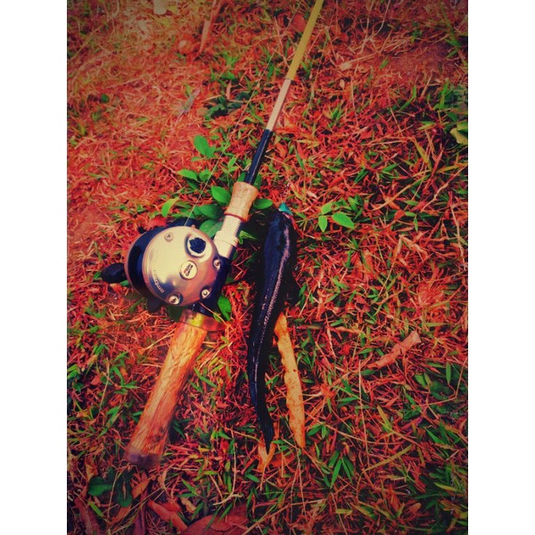 Abu Garcia Ambassadeur C3 4601 classic