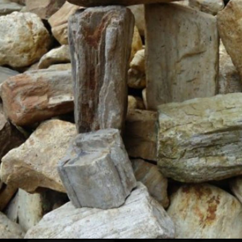 batu fosil kayu