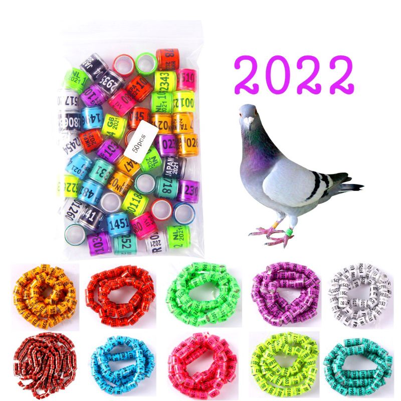 1 RING MERPATI IMPORT ASLI 2022 - CINCIN MERPATI CINCIN BURUNG DARA PERKUTUT IMPORT TAHUN 2022 PREMI