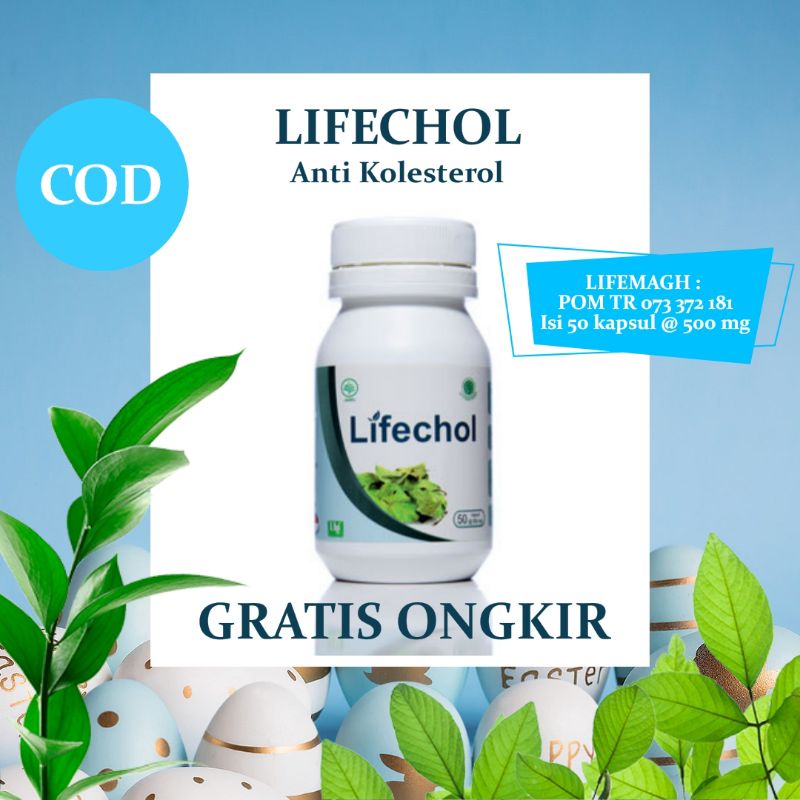 

Obat Kolesterol Asli (lifechol) "Herbal ekstrak alami" [BPOM]