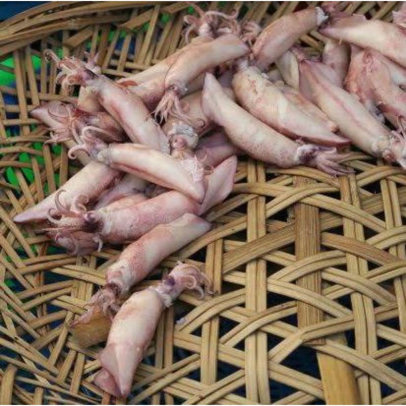 

Cumi Asin Cumi Kering Seafood Kering Pasar Murah Jogja