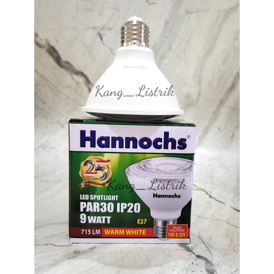 Lampu LED Spotlight Hannochs PAR 30 9 watt