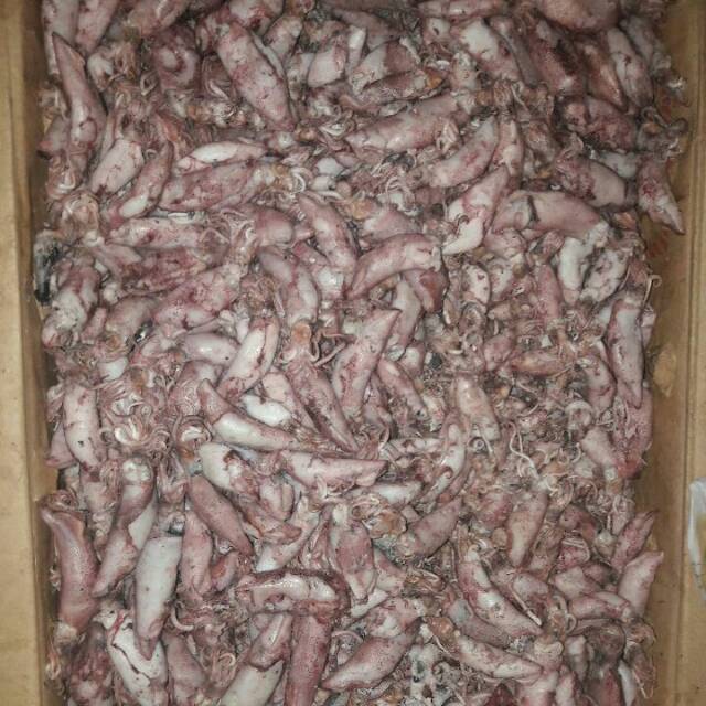 

Ikan Asin Sotong Super 500gr