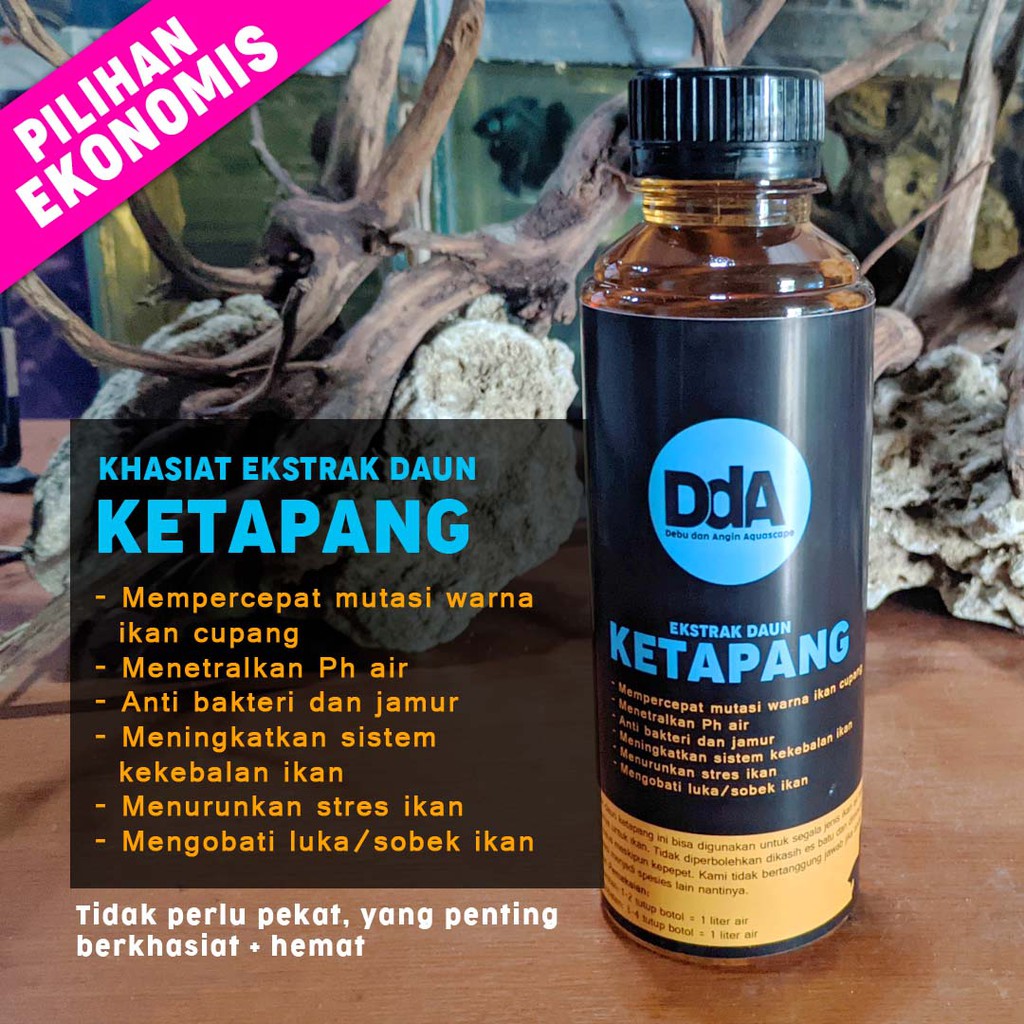 Ekstrak daun ketapang 250 ml. obat cupang. obat channa.