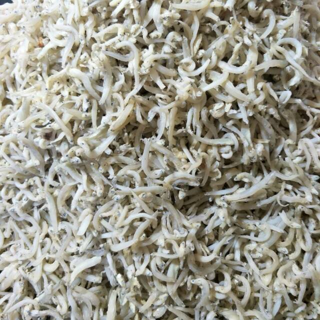 

Teri Medan Super