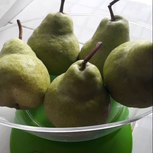 

Pear Pachkam