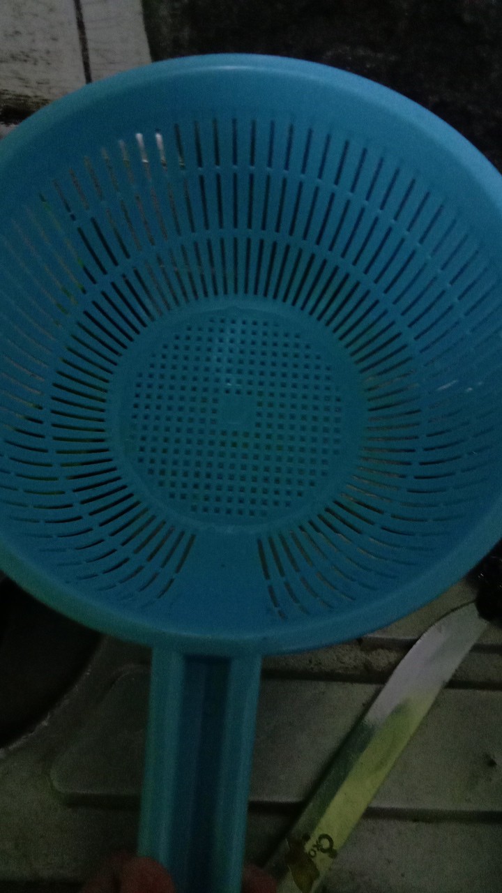 Saringan Plastik Serbaguna 19 Cm | Saringan Pencuci Sayuran Buah Daging