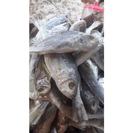 

ikan kepala batu medan 250g