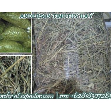 

[COD] Timothy Hay 500 Gr Repack Size Lokasi Surabaya [COD]