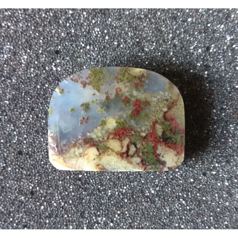 Lumut Trenggalek 04 bukan Pirus Pancawarna Badar Besi