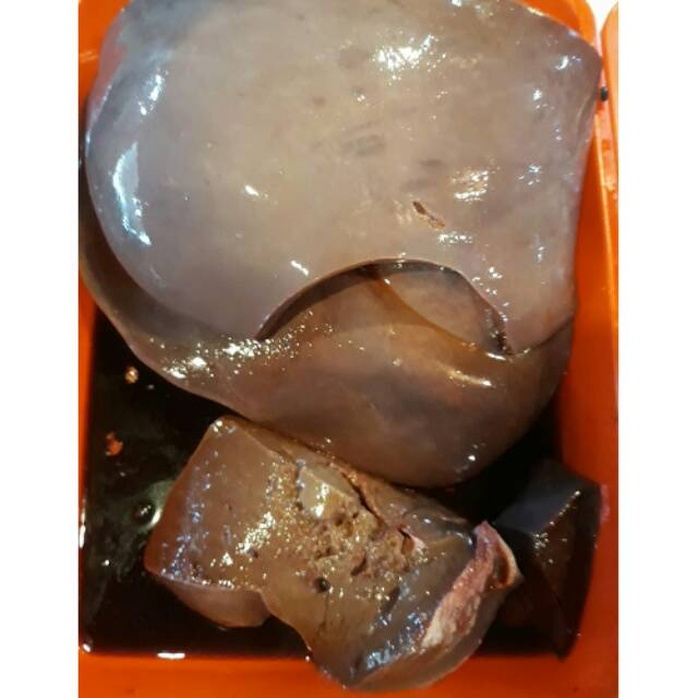 

Hati Sapi Segar dan Paru Sapi Segar 250gr
