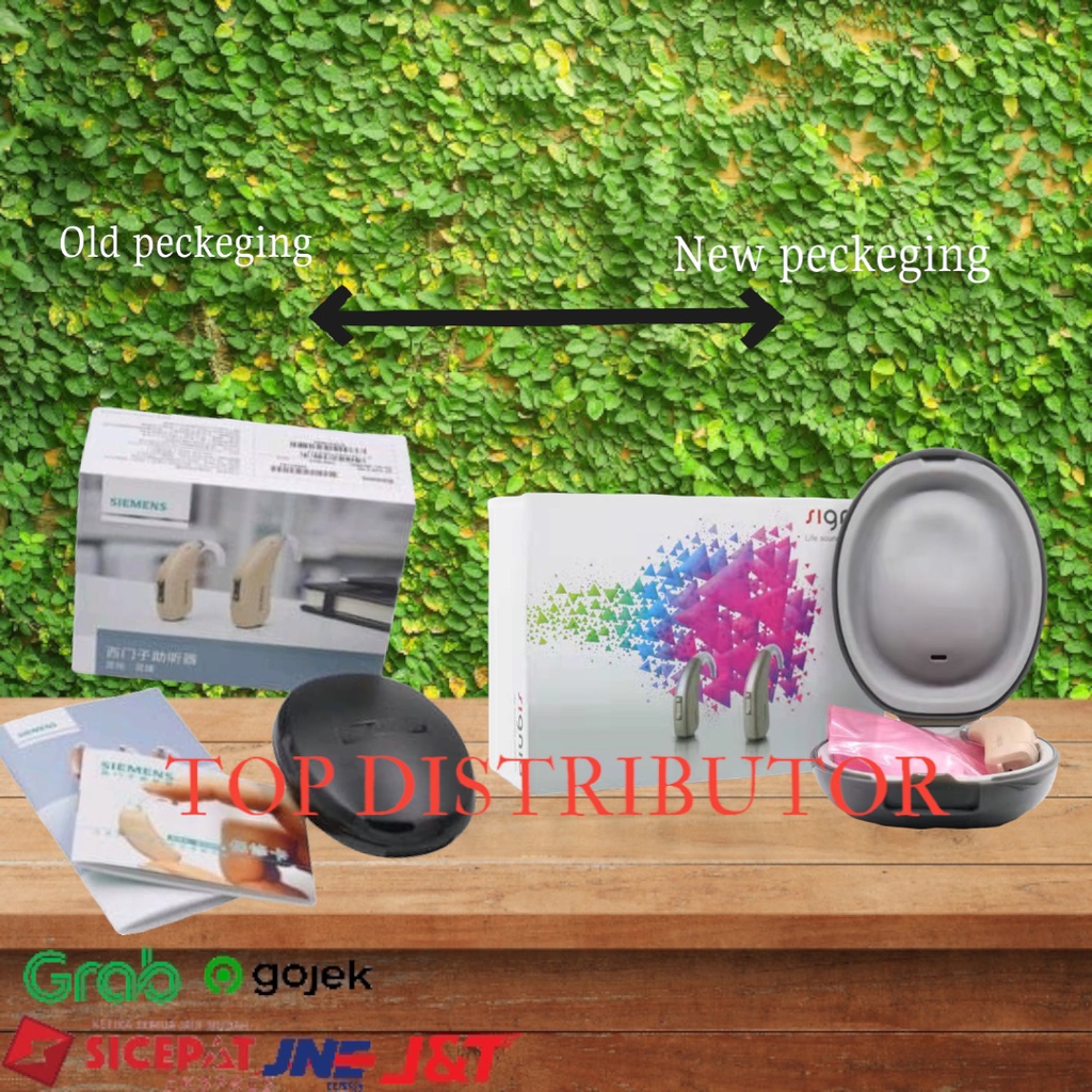 Hearing Aid / Alat Bantu Dengar Siemens Touching Fast P