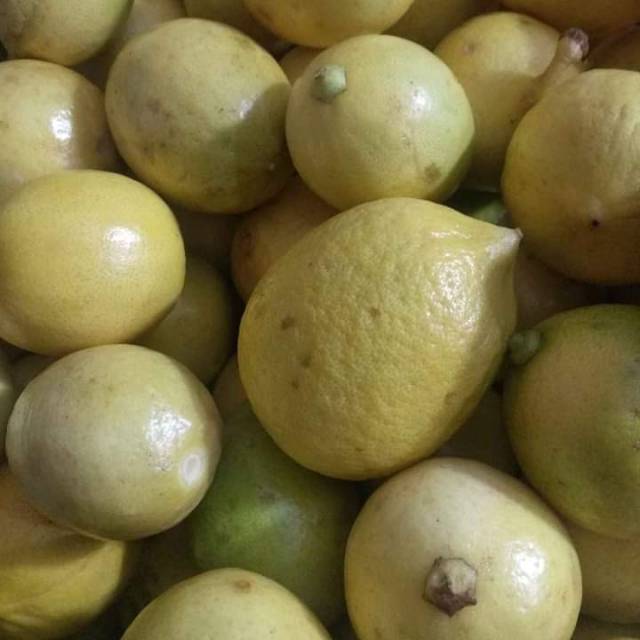 

Lemon lokal 1 kg