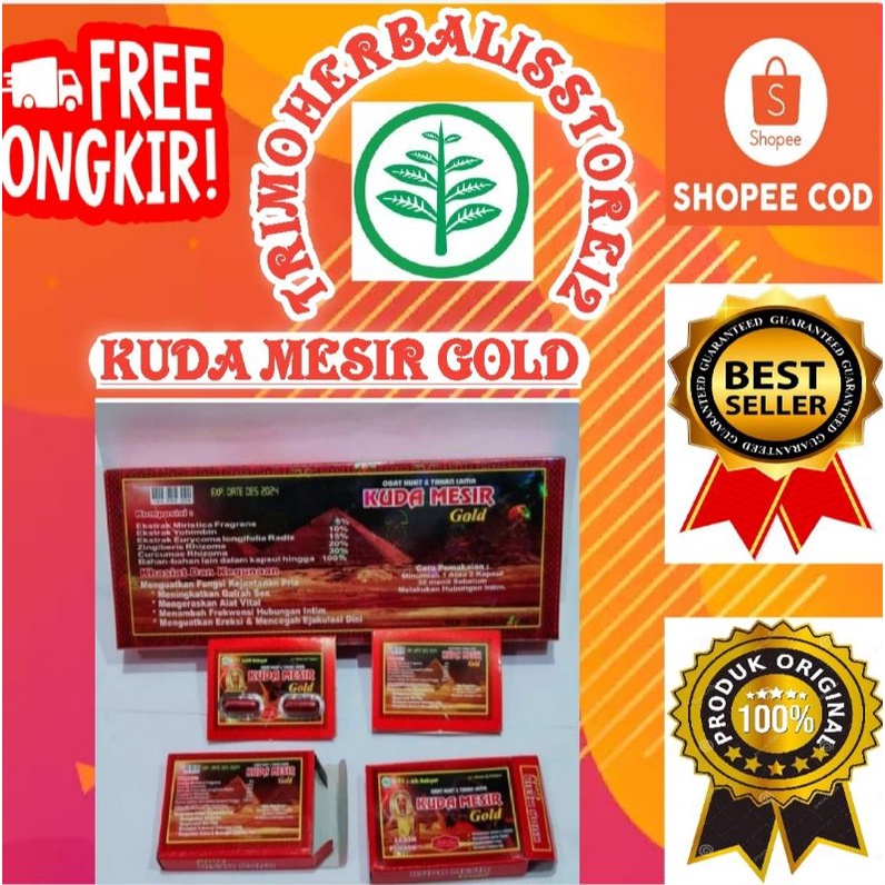 Kuda Mesir Gold
