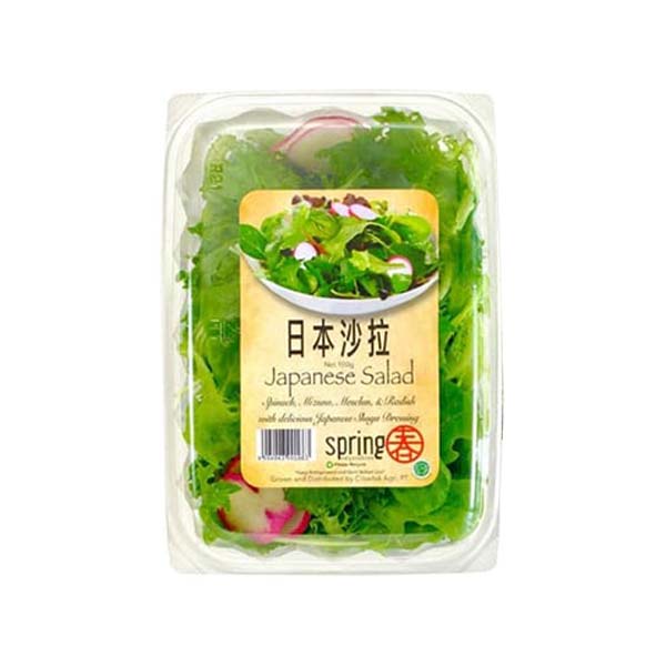 

SPRING JAPANESE SALAD 100 gr | sayur | buah | salad