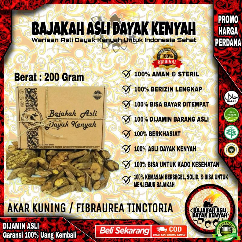 

BAJAKAH AKAR KUNING 200Gr - FIBRAUREA TINCTORIA - BAJAKAH ASLI DAYAK KENYAH ASLI KALIMANTAN